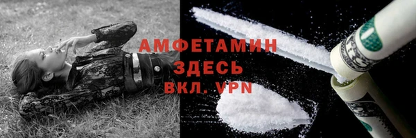 крисы Абаза