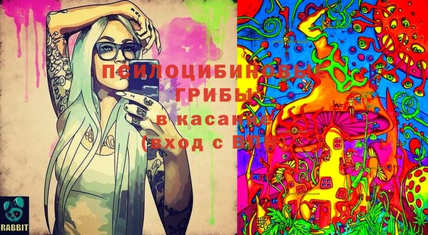 apvp Алексин
