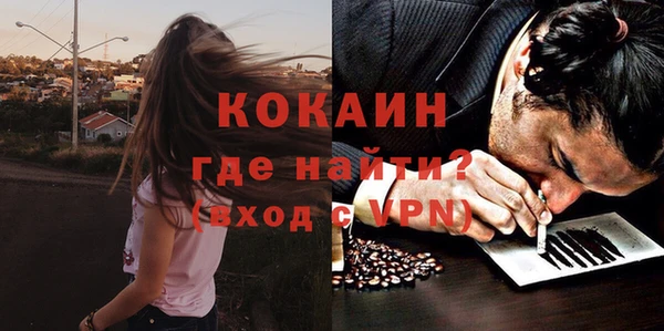 apvp Алексин