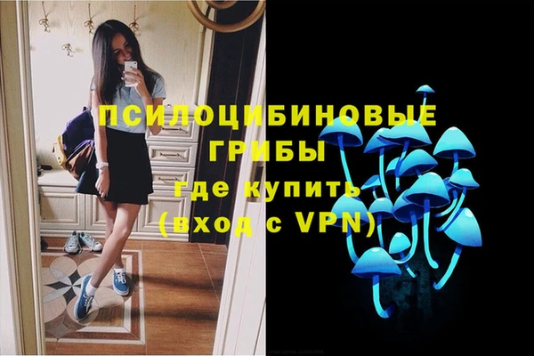apvp Алексин