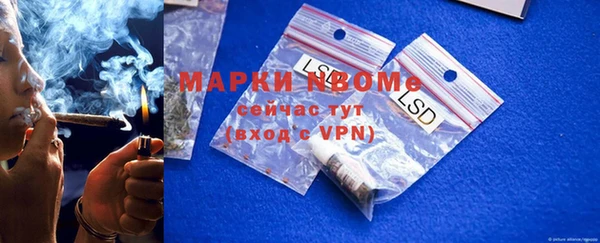 apvp Алексин